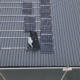 installateurs photovoltaïques pendant la pose de panneaux solaires à Nandrin près de Liège